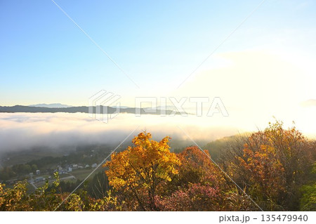 朝の山本山高原に広がる紅葉と雲海の風景（新潟県小千谷市） 135479940