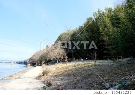 岐阜県可児市_木曽川渡し場遊歩道(かぐや姫の散歩道)4_2025年3月 岐阜県可児市_木曽川渡し場遊歩道(かぐや姫の散歩道)4_2025年3月 135481223