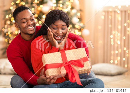 Christmas or New Years morning and gifts. Surprised young african american woman rejoices with present in box with ribbon from husband in living room interior with tree and garlands, free space Christmas or New Years morning and gifts. Surprised young african american woman rejoices with present in box with ribbon from husband in living room interior with tree and garlands, free space 135481415