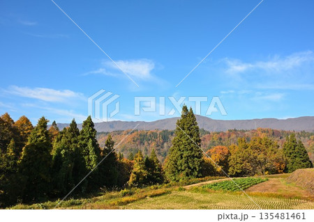 山に囲まれた野沢温泉村の紅葉風景（長野県野沢温泉村） 135481461