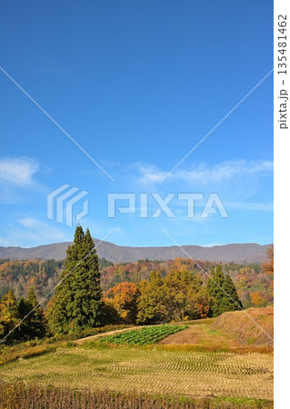 山に囲まれた野沢温泉村の紅葉風景(長野県野沢温泉村) 山に囲まれた野沢温泉村の紅葉風景(長野県野沢温泉村) 135481462