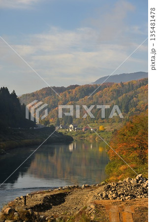 野沢温泉村を流れる千曲川と紅葉の風景(長野県野沢温泉村) 野沢温泉村を流れる千曲川と紅葉の風景(長野県野沢温泉村) 135481478
