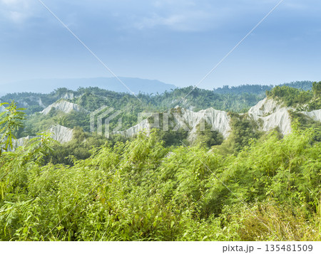 台湾高雄市 「田寮月世界」泥岩の山並み / Tianliao Moon World, Taiwan 135481509