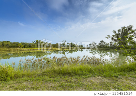 台湾高雄市 「田寮月世界」月池 / Tianliao Moon World, Taiwan 135481514