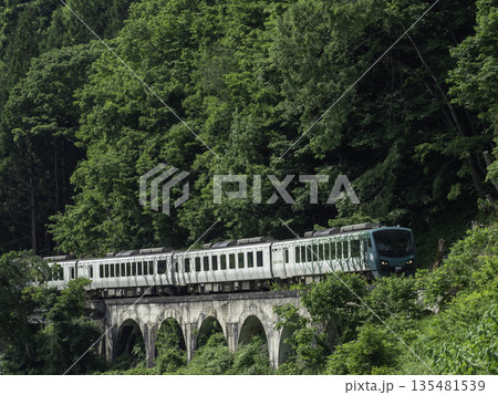 リゾートしらかみ橅 リゾートしらかみ橅 135481539