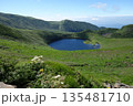 夏の新緑に包まれる鳥海山 135481710