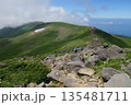 夏の新緑に包まれる鳥海山 135481711