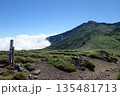 夏の新緑に包まれる鳥海山 135481713
