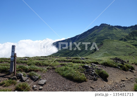 夏の新緑に包まれる鳥海山 夏の新緑に包まれる鳥海山 135481713