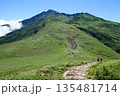 夏の新緑に包まれる鳥海山 135481714