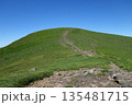 夏の新緑に包まれる鳥海山 135481715