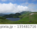 夏の新緑に包まれる鳥海山 135481716