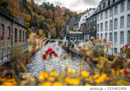 Picturesque Town Monschau with Historical Charm and the Tranquil Rur River in autumn Picturesque Town Monschau with Historical Charm and the Tranquil Rur River in autumn 135481988