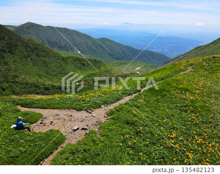 花の山、鳥海山 花の山、鳥海山 135482123