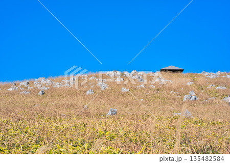 ススキが綺麗な四国カルスト 135482584