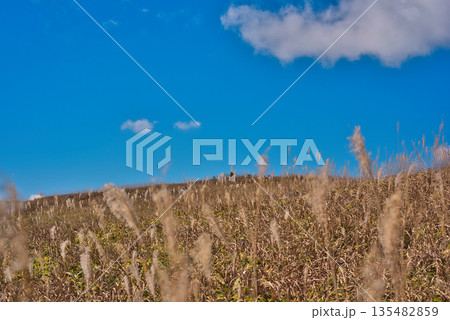 四国カルスト 四国カルスト 135482859