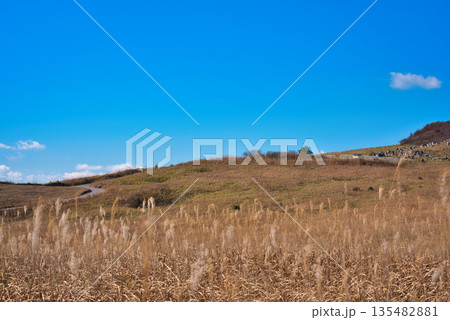 四国カルスト 135482881