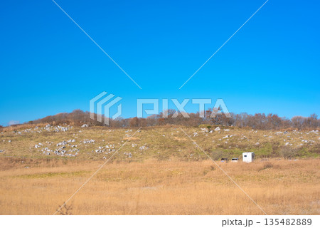 四国カルストのススキ 四国カルストのススキ 135482889