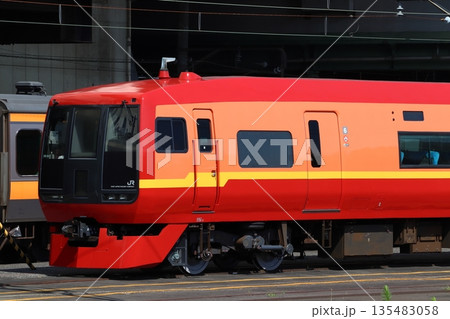 大宮総合車両センターにて検査中の253系電車（埼玉県さいたま市大宮区） 135483058
