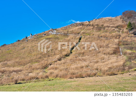 四国カルスト 135483203