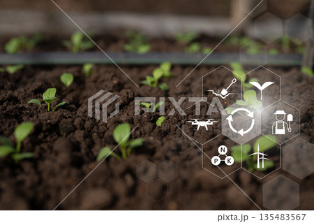 Smart farming concept showing young seedlings in soil with digital icons for precision agriculture and sustainable crop management 135483567