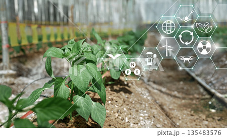 Plants grow in greenhouse with digital icons showing data driven agriculture technology for monitoring nutrients energy and sustainability 135483576