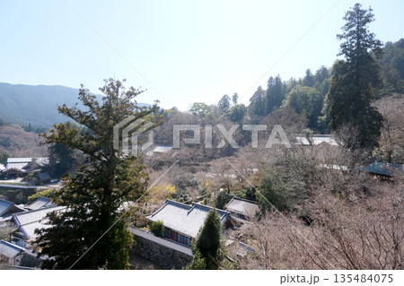 奈良県桜井市_長谷寺本堂外舞台からの景色8_2025年3月 奈良県桜井市_長谷寺本堂外舞台からの景色8_2025年3月 135484075