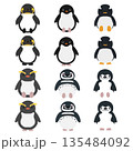 いろんな種類のゆるふわペンギン素材 135484092