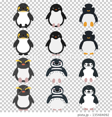 Various kinds of fluffy penguin materials 135484092