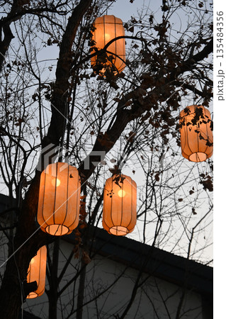 中国上海・蟠龙天地（春節） 135484356