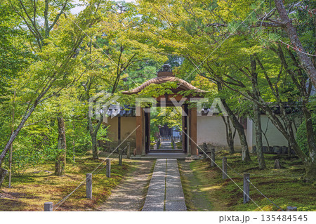 京都 酬恩庵一休寺 夏の参道風景 135484545