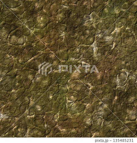 Seamless cave wall surface. Hi-res texture. 135485231