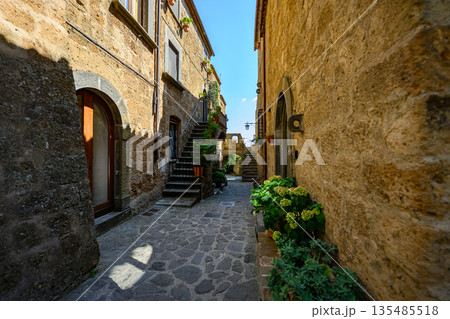 Charming narrow stone alley with stairs and archway in a historic village. Traditional architecture, textured stone walls, and peaceful atmosphere. Charming narrow stone alley with stairs and archway in a historic village. Traditional architecture, textured stone walls, and peaceful atmosphere. 135485518