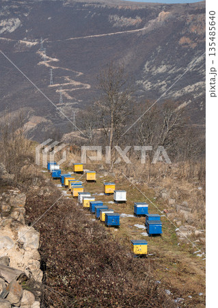 Rows of colorful beehives Near Tatev monastery stand along dry mountain slope with bare trees and rocky ground, muted earth tones contrast  135485640