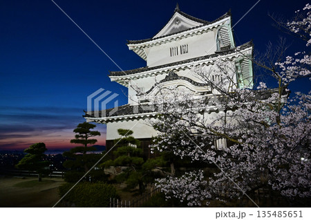 ライトアップされた桜と丸亀城の天守閣 135485651