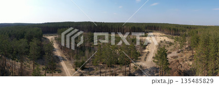 country road, view from above, aerial view 135485829