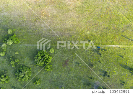 wild field, view from above wild field, view from above 135485991