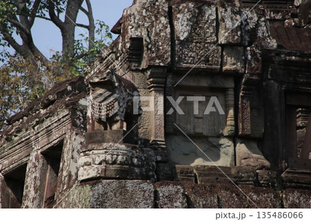 ピミアナカスのシンハ 135486066