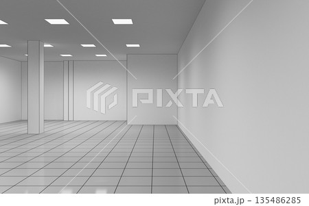 empty room, interior visualization, 3D illustration 135486285