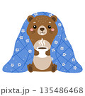 Vector illustration of groundhog seating in a blue blanket with cup of hot coffee or chocolate. Character design of marmot. Happy Groundhog Day. 135486468