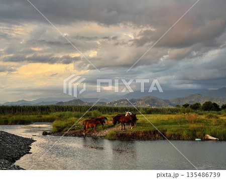 Summer landscape. Sunset sky with clouds, river, meadow, field, horses and mountains  135486739