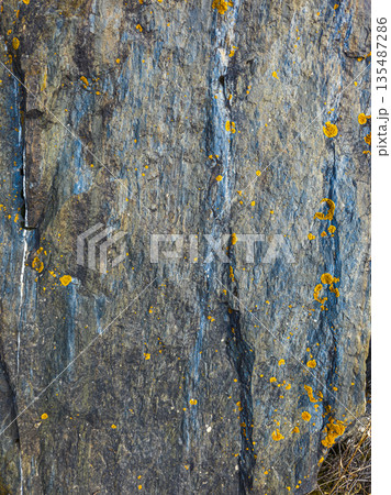 Rugged dark gray and blue sedimentary rock with yellow lichen outdoors Rugged dark gray and blue sedimentary rock with yellow lichen outdoors 135487286