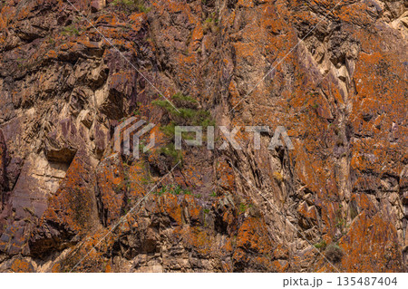 Rugged rock face with plants in mountainous region 135487404