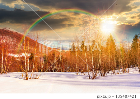 winter landscape at sunset. deciduous forest on snow covered hill in evening light. scenic scenery of natural park under blue sky for travel background. storytelling cinematic image under the rainbow 135487421