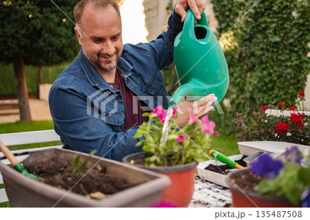 Caring for blooming flowers in a sunny garden setting Caring for blooming flowers in a sunny garden setting 135487508
