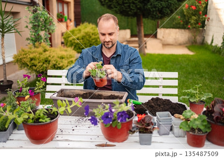 Gardening joy as plants flourish in the sunny backyard Gardening joy as plants flourish in the sunny backyard 135487509