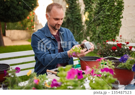 Gardener nurturing seedlings in vibrant outdoor space Gardener nurturing seedlings in vibrant outdoor space 135487523