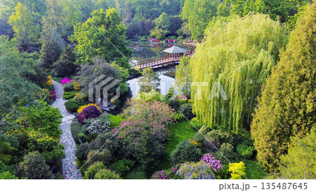 Aerial view on Japanese garden in Wroclaw 135487645