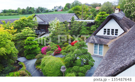 Aerial view on topiary: pruned plants and houses in Japanese style in distance in Odense Japanese garden Aerial view on topiary: pruned plants and houses in Japanese style in distance in Odense Japanese garden 135487648