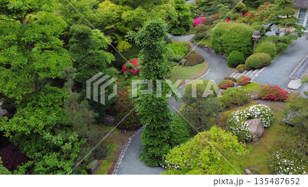 Aerial view on topiary: pruned plants and houses in Japanese style in distance in Odense Japanese  garden 135487652